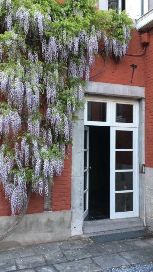 Chambre D'Hotes Les Augustins - Parking Securise - Borne De Recharge Huy Exterior foto